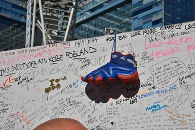 DSC_7117 (Large).JPG